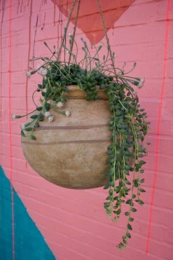 FENG SWAY Large Hanging Plant Urn 6-7" POTS