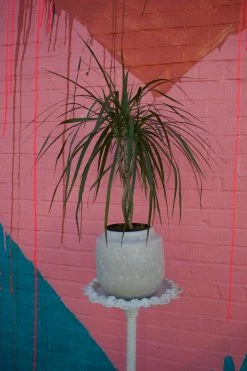 FENG SWAY ALL POTTERY Rounded White Textured Stoneware Pot