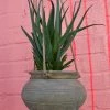 Feng Sway 4-5" POTS Vintage Clay Hanging Planters