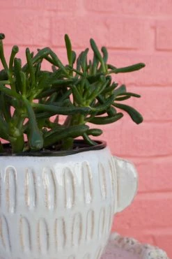 Feng Sway Exclusive 6-7