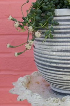 Feng Sway White And Grey Striped Ceramic Planter