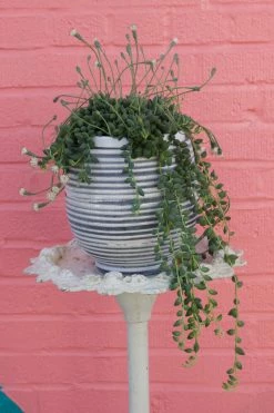 Feng Sway White And Grey Striped Ceramic Planter