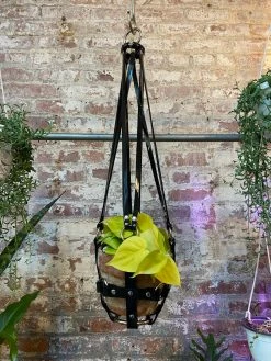 Feng Sway Vegan Black Patent Hanging Plant Harness By PURITAN CANDY ALL POTTERY