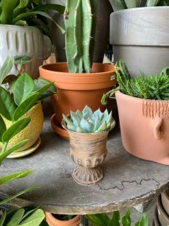 Feng Sway Exclusive Pastel Mini Distressed Metal Urn ALTAR TOYS