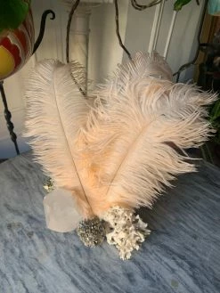 Feng Sway Peach Ostrich Feathers 9 Feng Sway Peach Ostrich Feathers