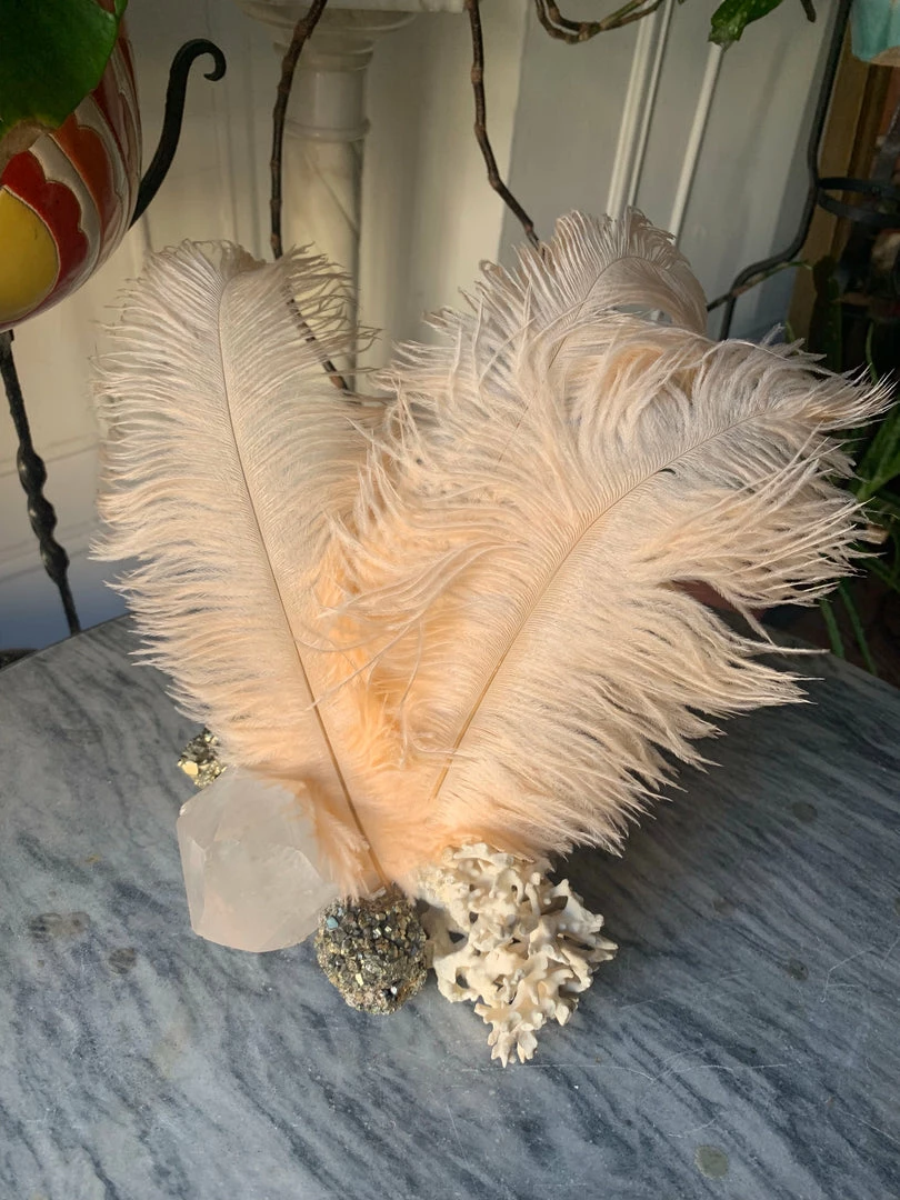 Feng Sway Peach Ostrich Feathers 6 Feng Sway Peach Ostrich Feathers