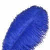 Feng Sway Royal Hyacinth Ostrich Feathers DRIED FLORALS + FEATHERS