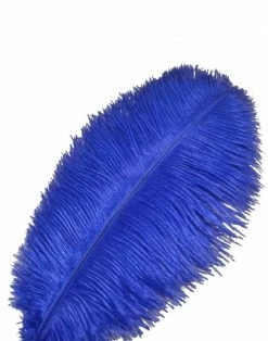 Feng Sway Royal Hyacinth Ostrich Feathers DRIED FLORALS + FEATHERS