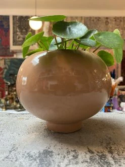 Feng Sway Exclusive Bubblegum Deco Planter