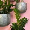 Feng Sway 6-7" POTS Galvanized Metal Wall Hanging Planter