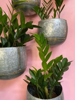 Feng Sway 6-7" POTS Galvanized Metal Wall Hanging Planter