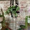 Feng Sway ALL POTTERY Black Vegan Patent With Chain Extender Plant Harness By PURITAN CANDY