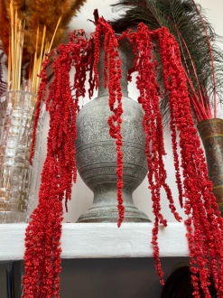 Feng Sway DRIED FLORALS + FEATHERS Preserved Pink Waterfall Amaranthus Bundle