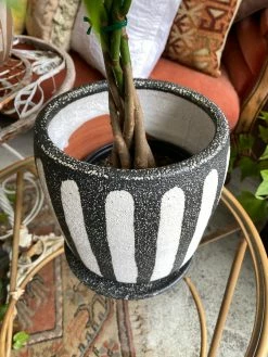 Feng Sway Exclusive Textured Black + White Pot