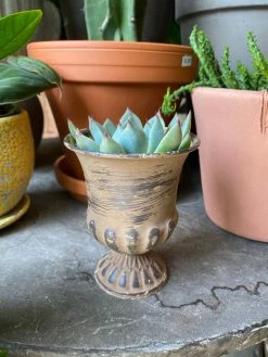 Feng Sway Exclusive Pastel Mini Distressed Metal Urn ALTAR TOYS