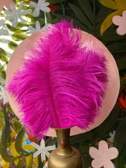Feng Sway Fuchsia Ostrich Feathers DRIED FLORALS + FEATHERS