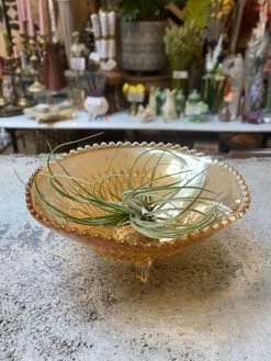 Vintage Orange Lusterware Catch All Dish ALL HOME DECOR + ODDITIES