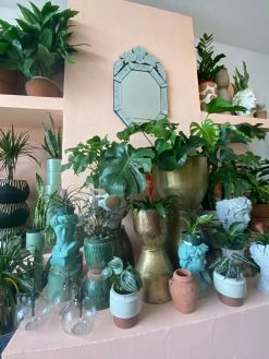 Feng Sway Exclusive Antique Brass Planter ~ 3 Sizes 8-9" POTS