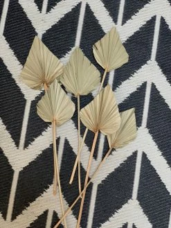 Feng Sway Spear Cut Palm Stem