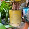 FENG SWAY Sunshine Rainbow Stoneware Planter