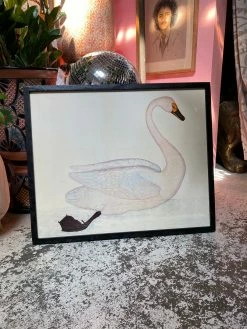 Feng Sway Exclusive Framed Swan Wall Hanging