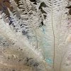 Feng Sway White Dried Fern Bundle