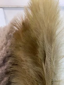 Feng Sway FAUX + PRESERVED Chartreuse Faux Pampas Stems