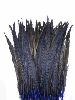Feng Sway DRIED FLORALS + FEATHERS Royal Hyacinth Pheasant Feathers