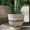 Feng Sway 6-7" POTS Black + Tan Scalloped Urn Planter 2 Feng Sway 6-7" POTS Black + Tan Scalloped Urn Planter