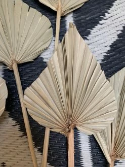 Feng Sway Spear Cut Palm Stem