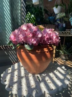 Feng Sway Exclusive 6-7" POTS Textured Terra Cotta Pots ~ Two Sizes