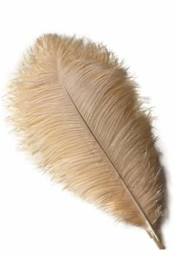 Feng Sway Peach Ostrich Feathers