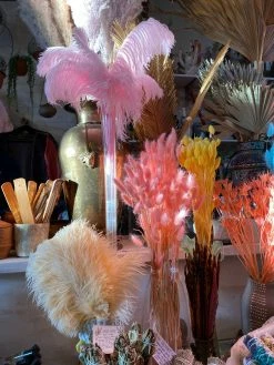 Feng Sway Pink Ostrich Feathers DRIED FLORALS + FEATHERS