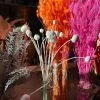 Feng Sway DRIED FLORALS + FEATHERS White Craspedia Stem