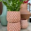 Feng Sway 70s Orange Scale Planter 4-5" POTS
