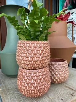 Feng Sway 70s Orange Scale Planter 4-5" POTS