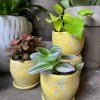 Feng Sway Sunny Distressed Planter 4-5" POTS