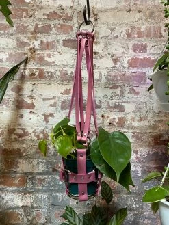 Feng Sway Real Pink Leather Hanging Plant Harness By PURITAN CANDY ALL POTTERY