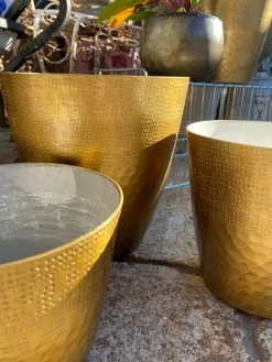 Feng Sway Exclusive Gold Textured Planter (3 Sizes) 6-7" POTS