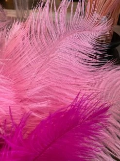 Feng Sway Pink Ostrich Feathers DRIED FLORALS + FEATHERS