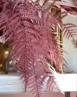 Feng Sway DRIED FLORALS + FEATHERS Rose Fern Leaf Bundle