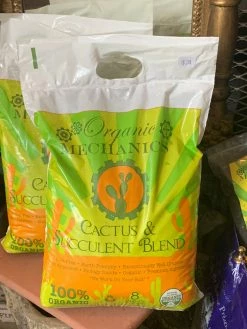 FENG SWAY Organic Locally Sourced Cacti + Succulent Soil LIVE PLANTS