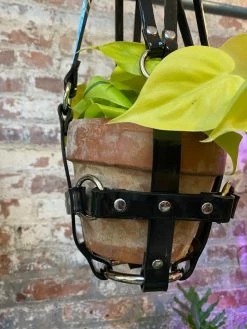 Feng Sway Vegan Black Patent Hanging Plant Harness By PURITAN CANDY ALL POTTERY