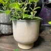 Feng Sway Minimalist Stoneware Pot