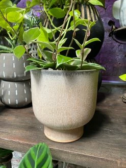 Feng Sway Minimalist Stoneware Pot