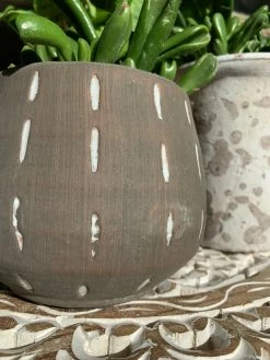 Feng Sway Minimalist Grey Pot W/ White Lines 4-5