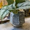 Feng Sway Exclusive Dreamer Stoneware Planter