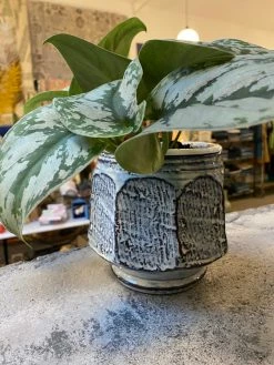 Feng Sway Exclusive Dreamer Stoneware Planter