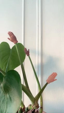 Feng Sway Finger Hands GIFTS