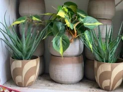 Feng Sway ALL POTTERY Naturalist Wave Pot